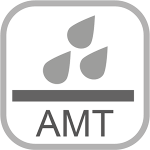 AMT