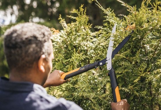 Hansgrohe Rainfinity