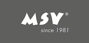 MSV