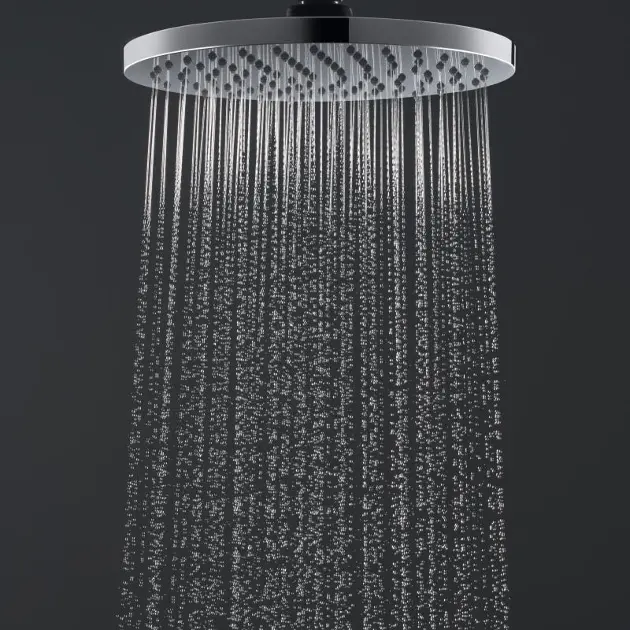 Ducha inodoro HANSGROHE plata 160 cm de largo