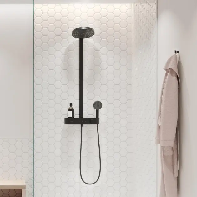 Hansgrohe Pulsify ducha 260 2 tipos de chorro con conexión a la