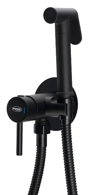 Aqualine - Concealed bidet tap, with spray, matt black SK302B