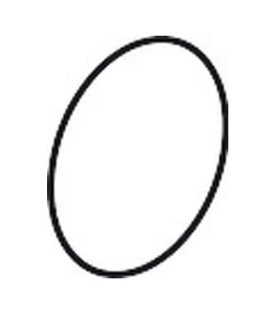 Hansgrohe - O-ring 97675000