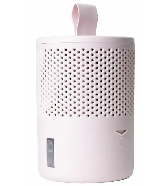 Sbarazzati Dell'umidit&agrave; E Dei Cattivi Odori Grazie All'assorbitore Di Umidit&agrave; Profumato Per Fare