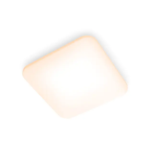 Levně Philips Osvětlení - LED svítidlo 43x43 cm, 2700 K, 24 W, bílá 929003313401