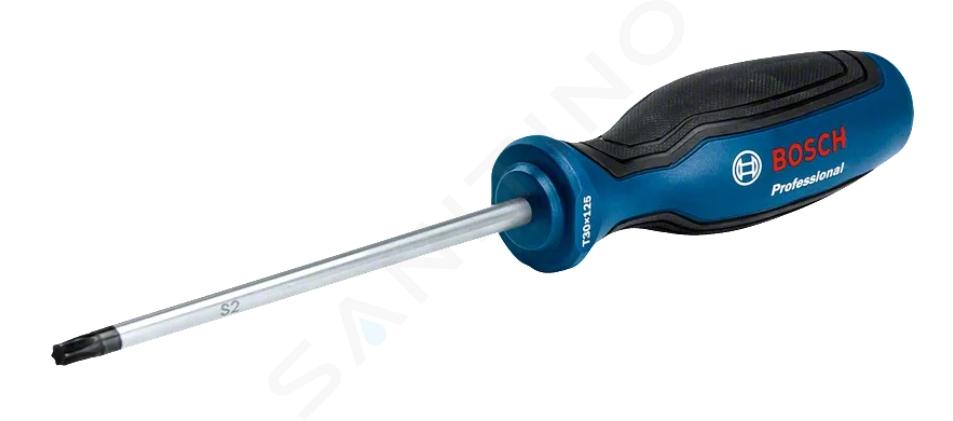 Bosch Náradie - Skrutkovač, typ TORX30 1600A01V0E