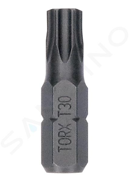 Bosch Accessoires - Bitset T30, lengte 25 mm, 25 stuks 2607002801