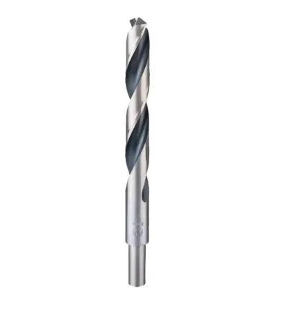 Levně Bosch Příslušenství - Vrták do kovu, 16,5x184 mm 2608577311