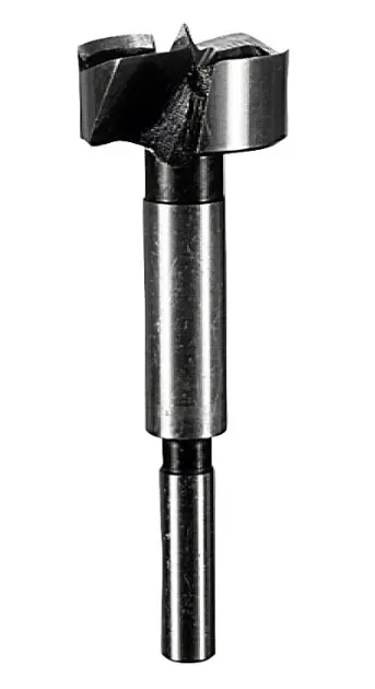 Levně Bosch Příslušenství - Forstnerův vrták, průměr 12 mm 2608597101