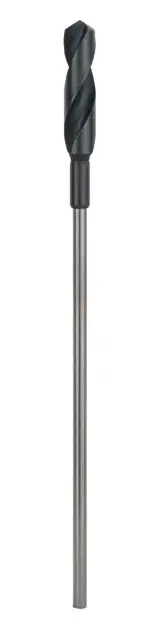 Levně Bosch Příslušenství - Vrták do dřeva a bednění, 22x400 mm 2608597167