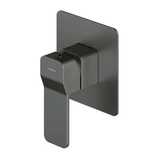 Levně OMNIRES Slide - Sprchová baterie pod omítku, s tělesem, kartáčovaný grafit SL7745GR