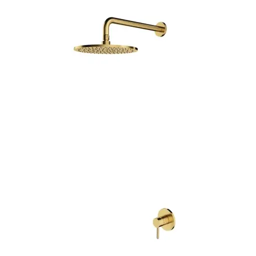 Levně OMNIRES Y - Set sprchové podomítkové baterie a horní sprchy, s tělesem, průměr 25 cm, kartáčovaná mosaz SYSY36BSB