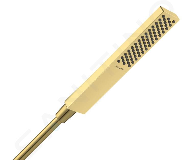 Hansgrohe Pulsify E - Sprchová hlavice, EcoSmart, leštěný vzhled zlata 24320990