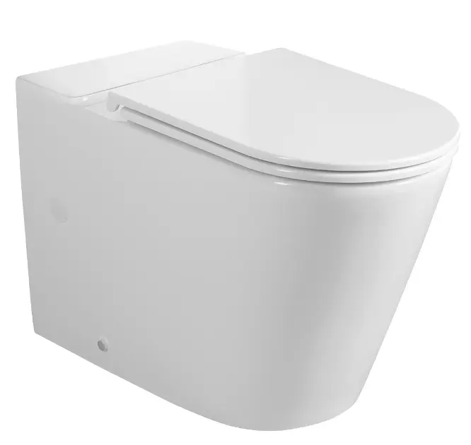 Sapho Avis - WC-Kombischüssel, Vario-Abgang, Vortex Rimless, weiß PC106-111