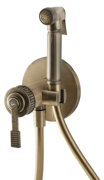 Sapho Versi - Mitigeur de bidet encastré, avec douchette et corps d'encastrement, bronze RV013/18