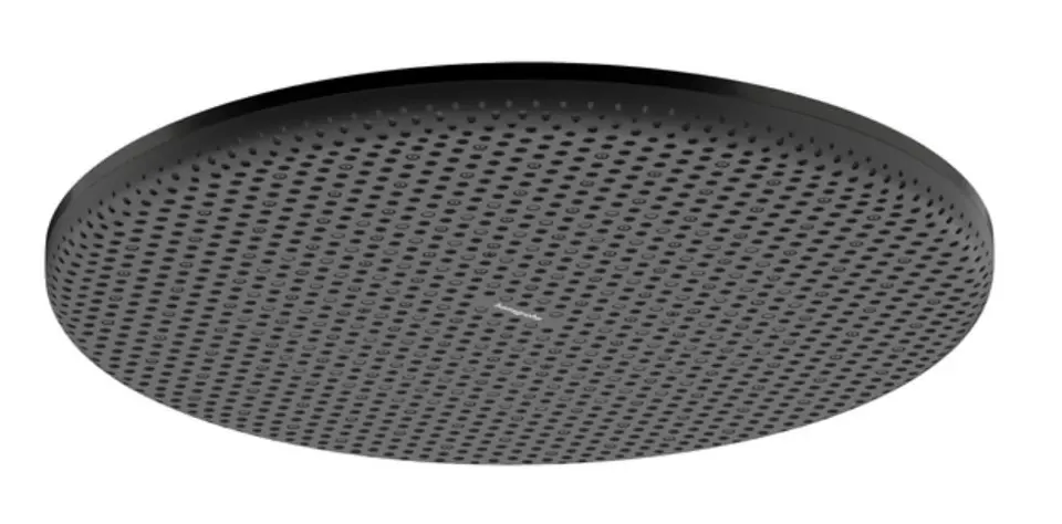 Hansgrohe Raindance Alive S - Kopfbrause, Durchmesser 30 cm, Schwarzchrom gebürstet 24520340