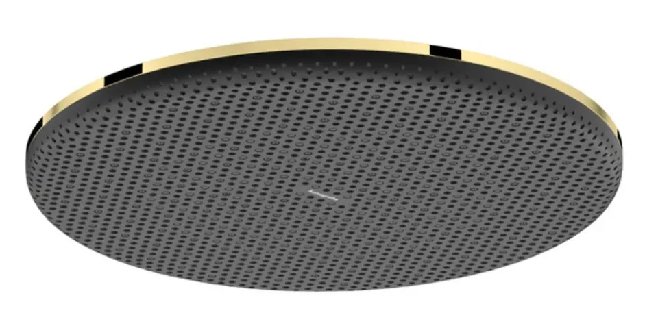 Levně Hansgrohe Raindance Alive S - Hlavová sprcha, průměr 30 cm, leštěný vzhled zlata 24520990