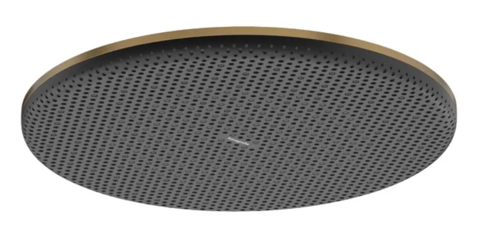 Hansgrohe Raindance Alive S - Nadglavni tuš, promjer 30 cm, EcoSmart, brušeni brončani 24521140