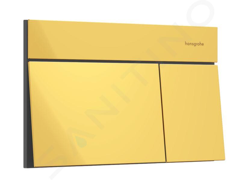 Hansgrohe iFrame Element E - Ovládanie splachovania, leštený vzhľad zlata 66003990