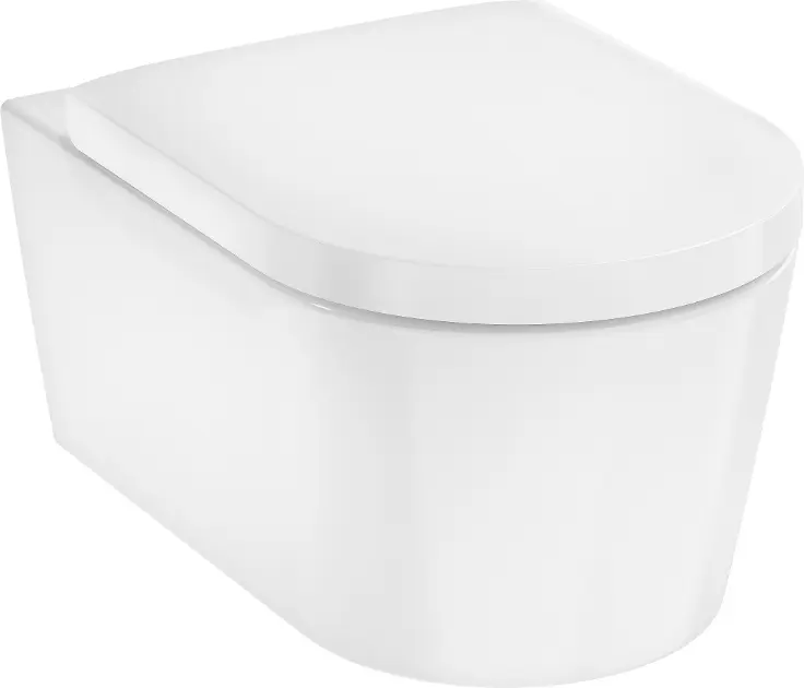 Hansgrohe - Závesné WC s doskou SoftClose, Rimless, AquaFall Flush, biela 60292450IIJ1