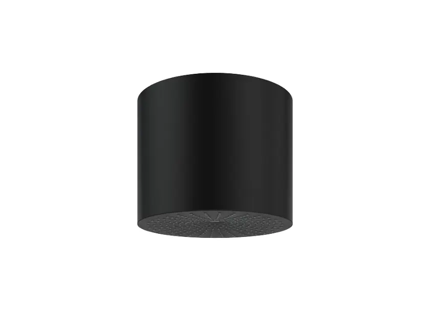Ravak - Ducha de techo 989.20BLM, diámetro 25 cm, negro mate X07P1461