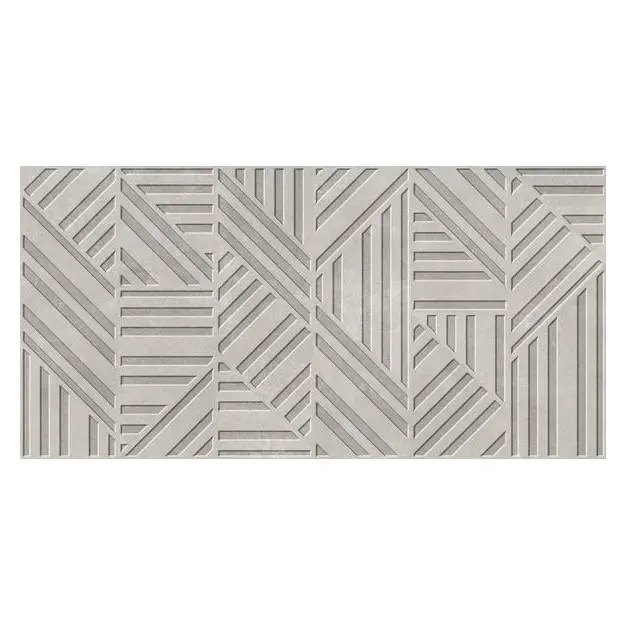 EBS Wonder - Dekor 60x120 cm, matná gris DRWOND60120GR