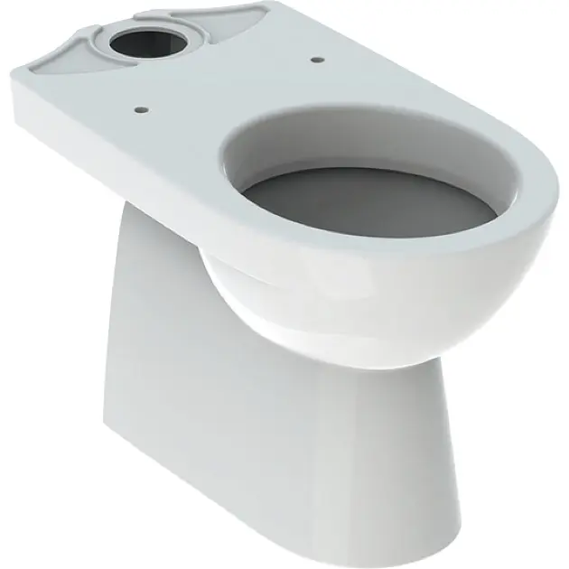 Geberit Selnova - Stand WC-Kombination, Abgang senkrecht, 665x356 mm , Spülrandlos, Weiß 500.151.01.1