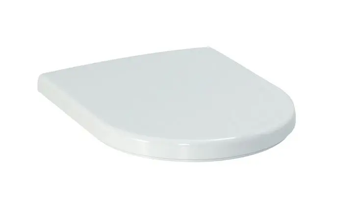 Levně Laufen Pro - WC sedátko Special, odnímatelné, matná bílá H8919507570031